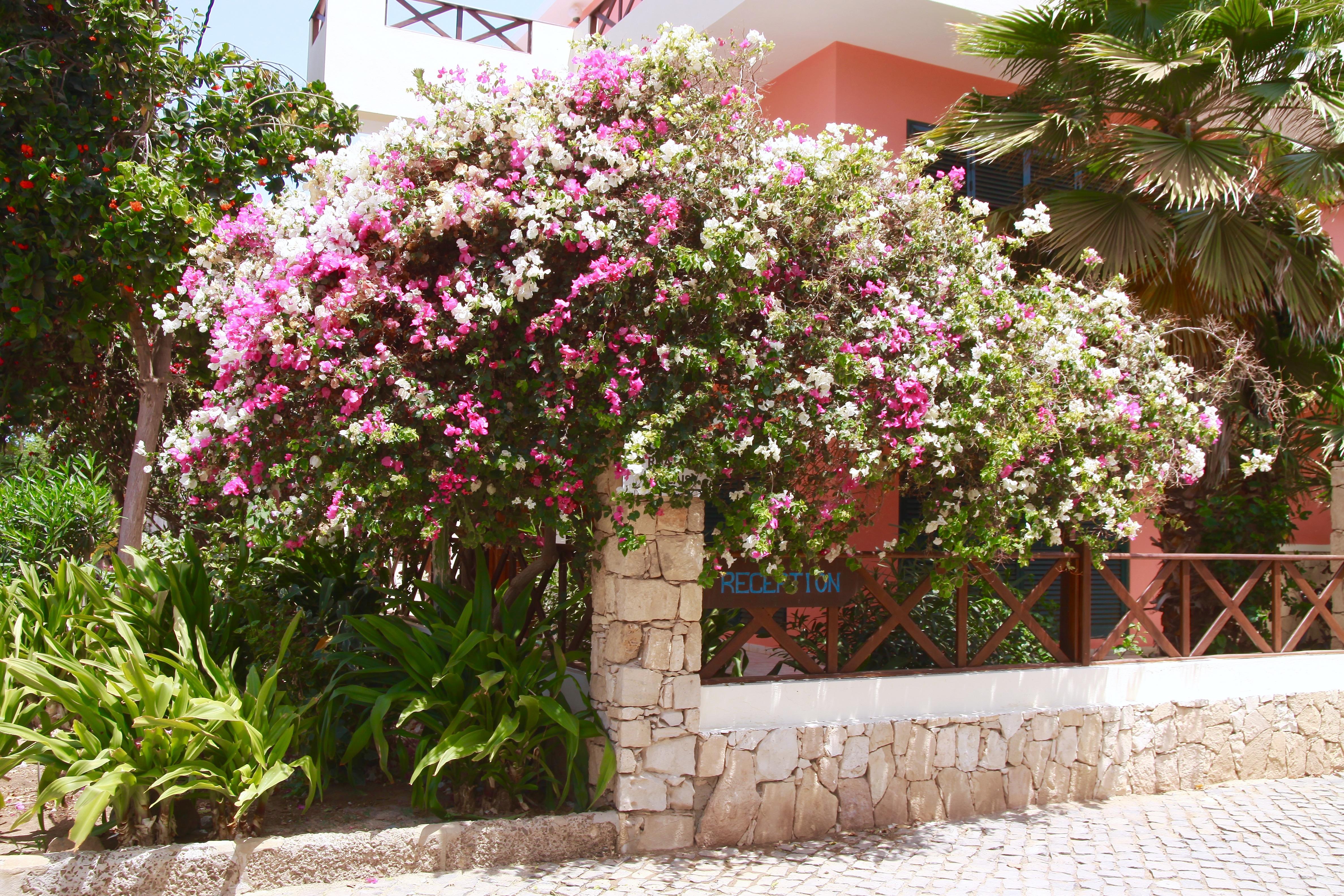 Aparthotel Ponta Preta Santa Maria Kültér fotó